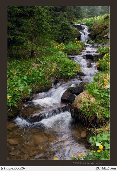 Душа в природе