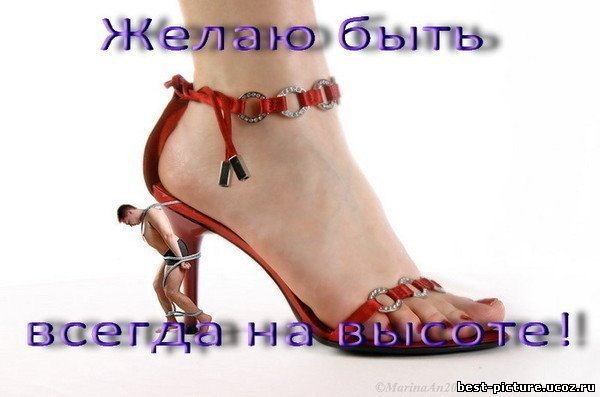 Пол слезами мочу...