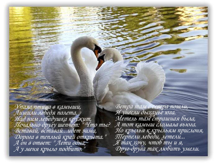 Не покидай меня