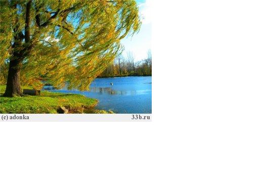 Неземная любовь