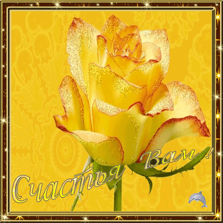 В который раз благословляю...