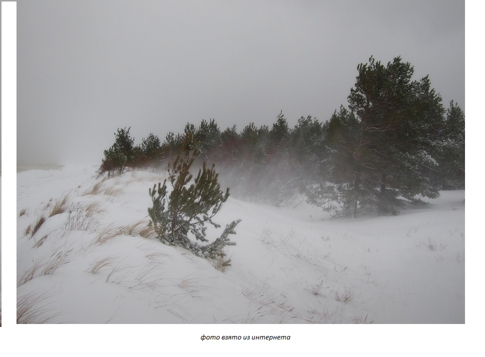 Жизнь моя шальная