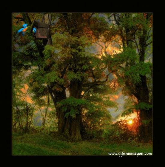 Пой рябина...