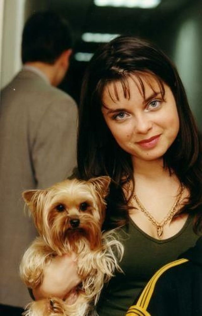 Собаки елены яковлевой. Звезды и йорки. Йорки звезд. Собака ксении бородиной. Йорки звезд.
