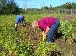 Лето, лето - пора трудовая