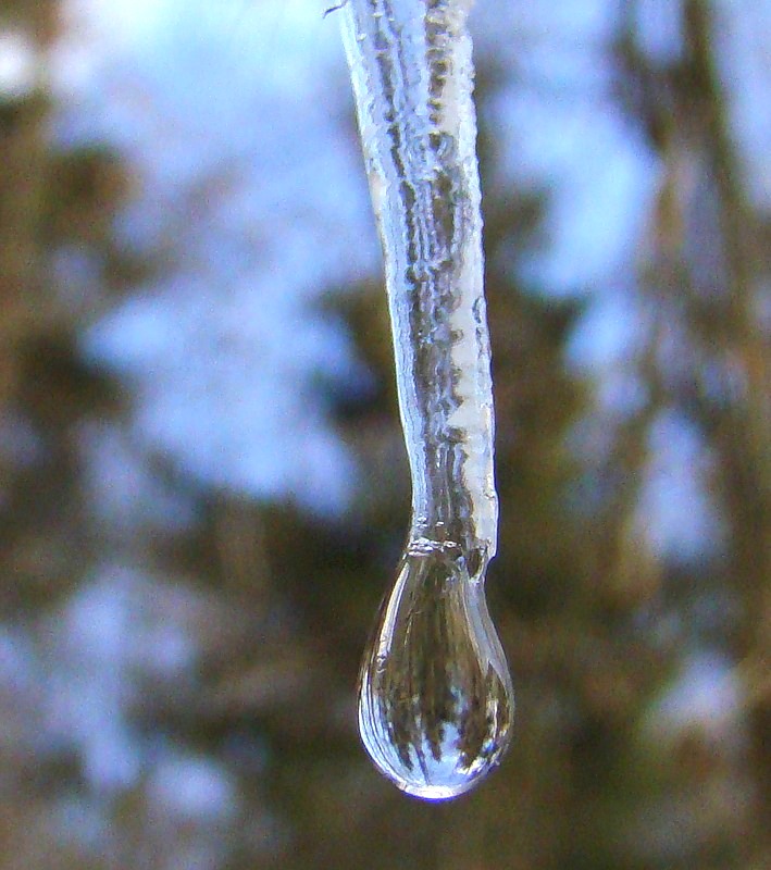 Последние гастроли...