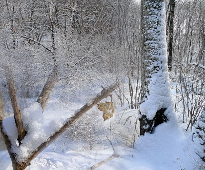 Мартовское...