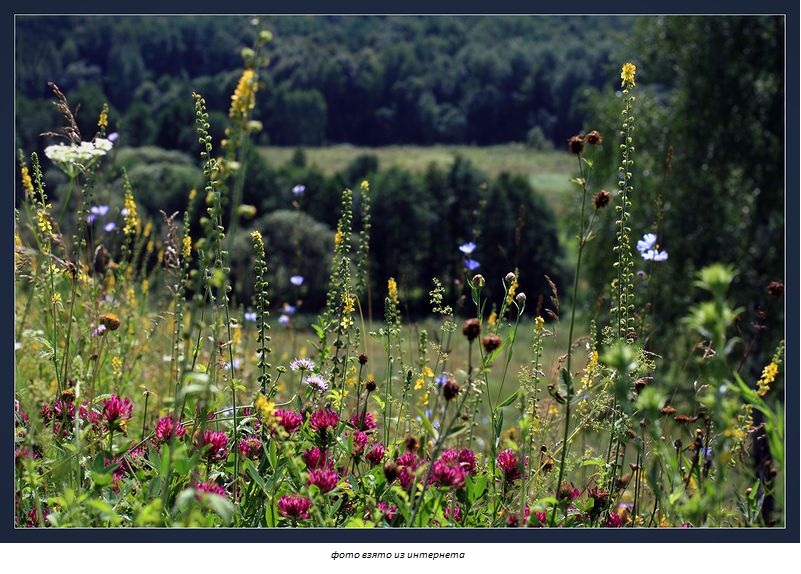 Спасибо Господи тебе...