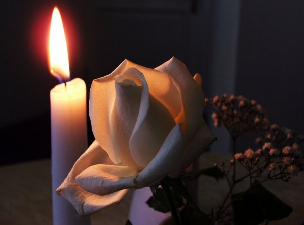 и звучит... Благовест...