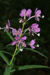 Знак судьбы