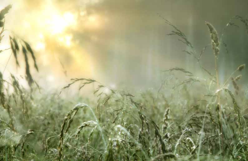 зарю встречая...