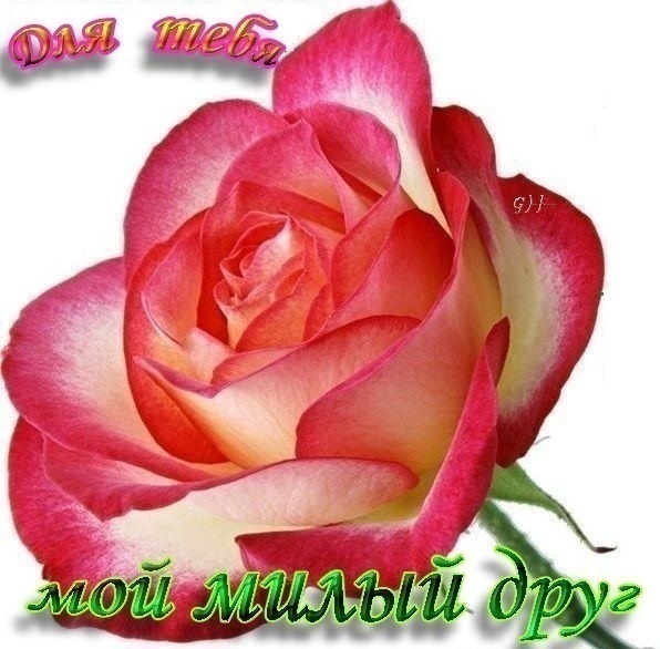 Поздравление к 8 марта