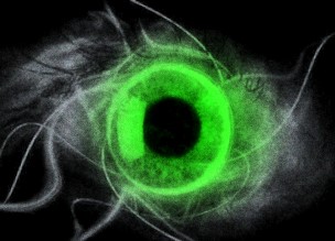 изумрудное око