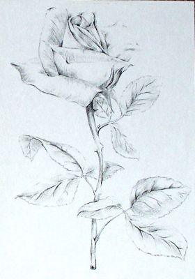 Всего лишь миг...