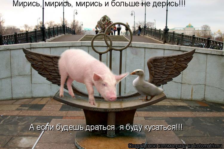 Свинья и Гусь