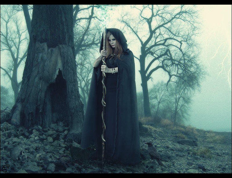 Незваная гостья...