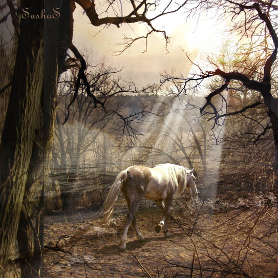 Уже отлетели подковы