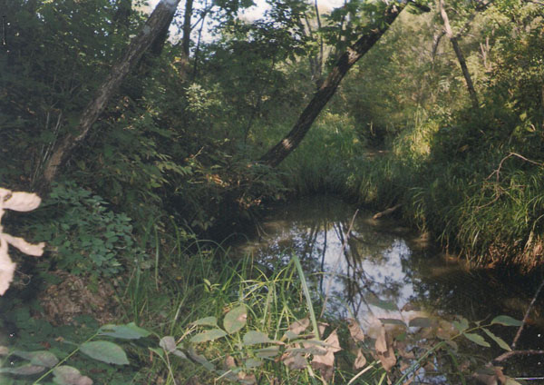 Пусть душа помолчит