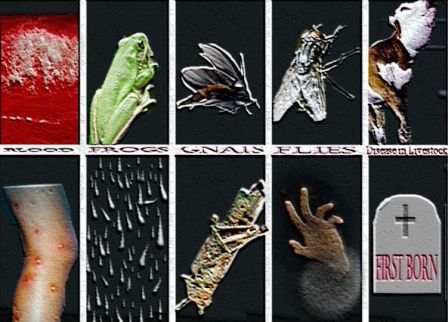 Наказание египтян продолжаются