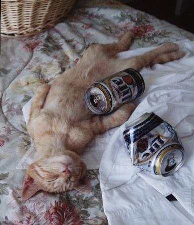 Воскресение шуточная песня