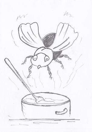 Про дрессированных мух