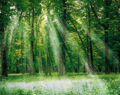 Судьба. 13. 08. 1990г