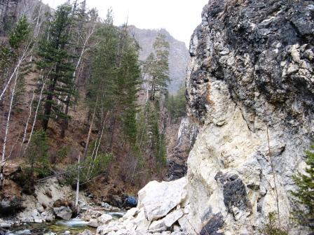 Зачем ты к нам пришла беда?