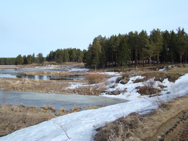 Виноваты весна и капель...
