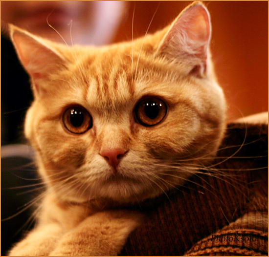 Ещё раз про любовь