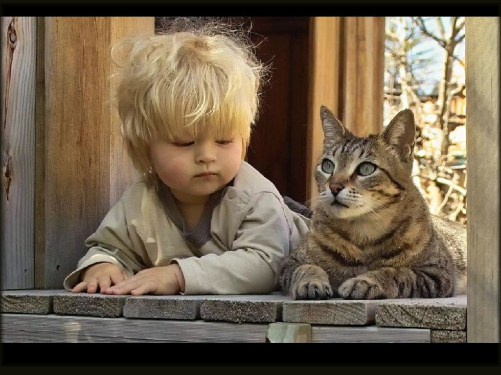 Малиновий компот