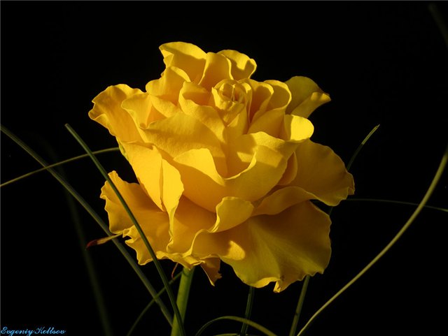 По-настоящему любить