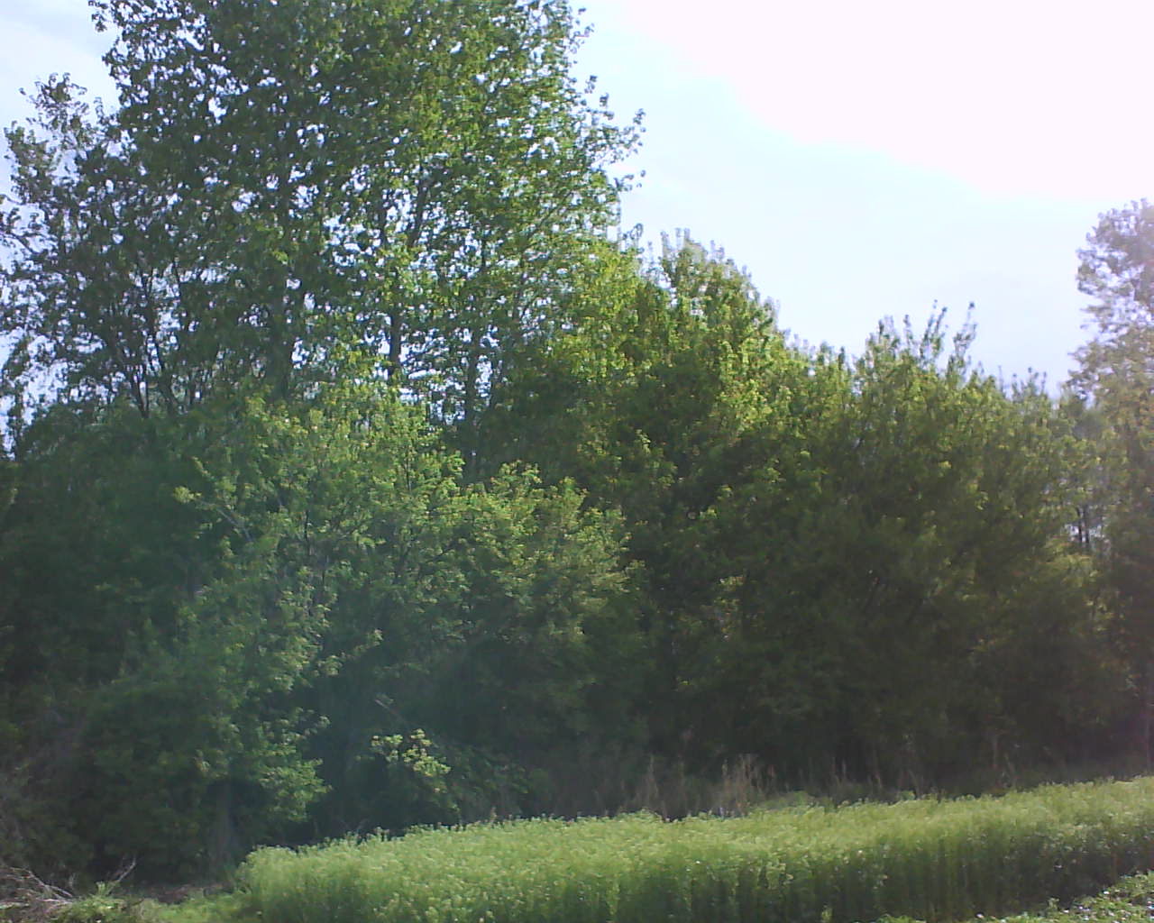 Я люблю очень сильно тебя!