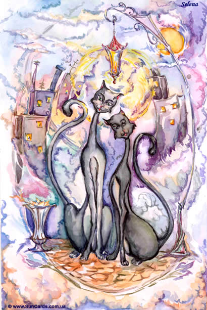 Дружила с ласковым котом