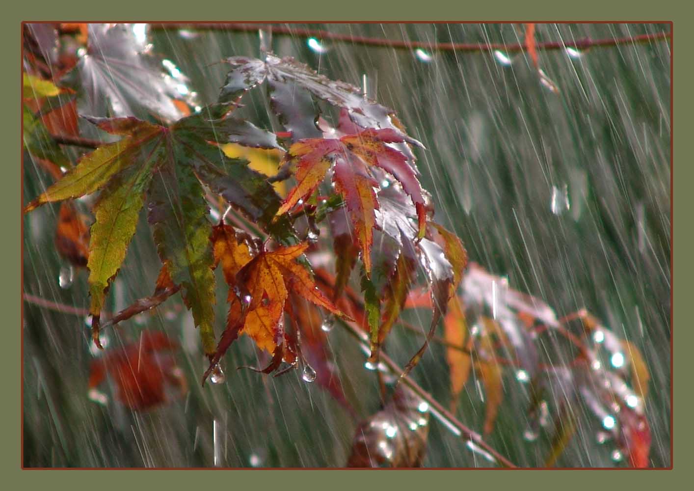 С небом вместе плачь, подруга...