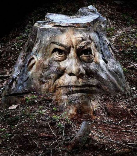 Ищу красавицу!