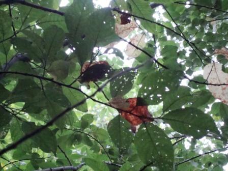 Я здесь и сейчас