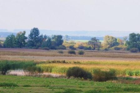 Весело, легко и быстро