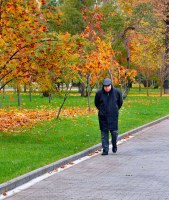Говорил он золотой осени...