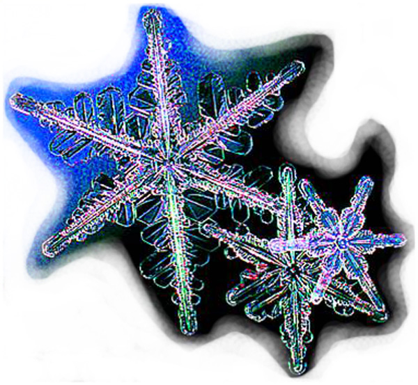 Забыть Законы тяготенья!