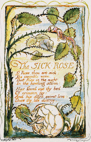THE SICK ROSE W. Blake Чахнущая роза. Два варианта
