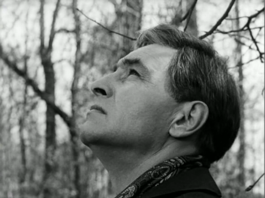 Концентрация