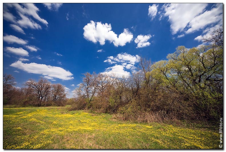 Вешний ветер