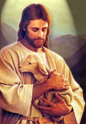 Мой родной, дорогой и любимый,