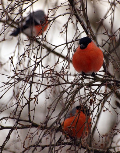 И никто не подумает Странно...