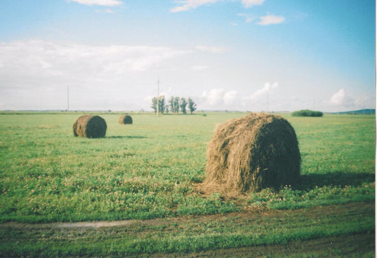 Россия подо мной