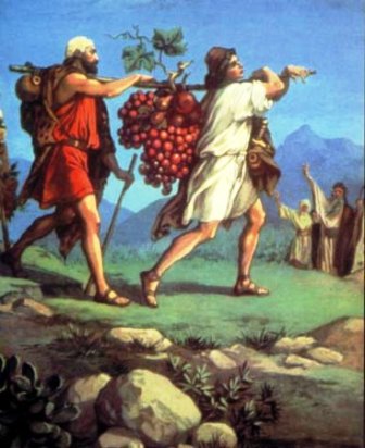 Соглядатаи