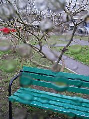 Снова дождь...