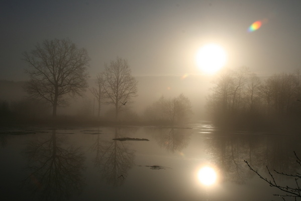 Сокрушённо-Туманное Утро