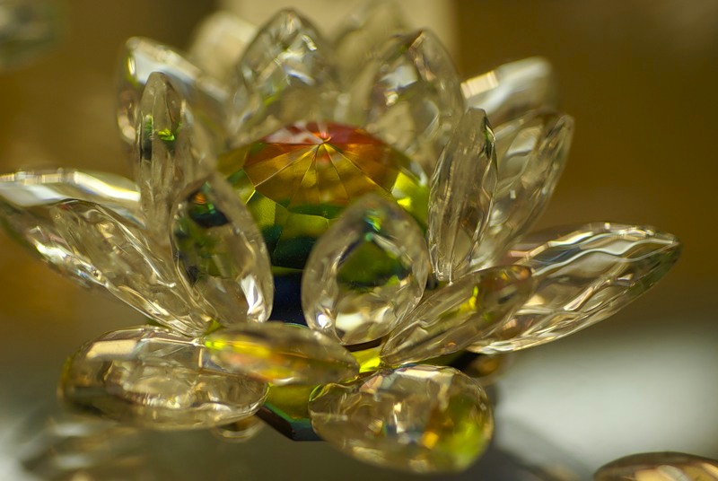 Цветок любви