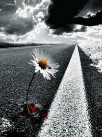 Бессмысленно все